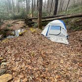 Review photo of 475b by Karsten M., January 16, 2026