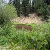 Review photo of 4K River Ranch by Jennifer O., June 14, 2026