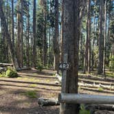 Review photo of 4R2 Back country campsite by Corda B., July 6, 2024