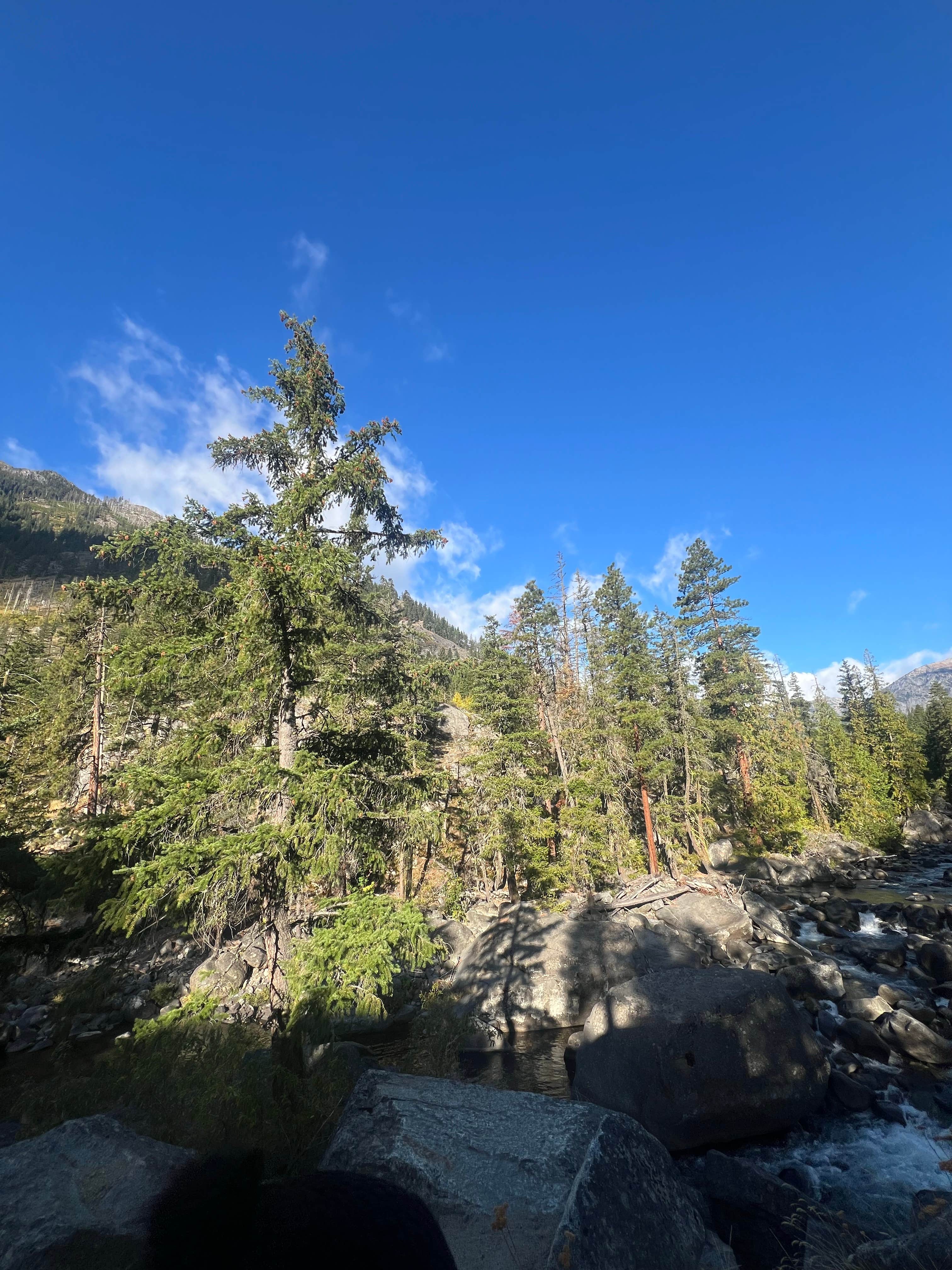 Camper-submitted photo at 4th of July Trail Levenworth near Wenatchee, WA