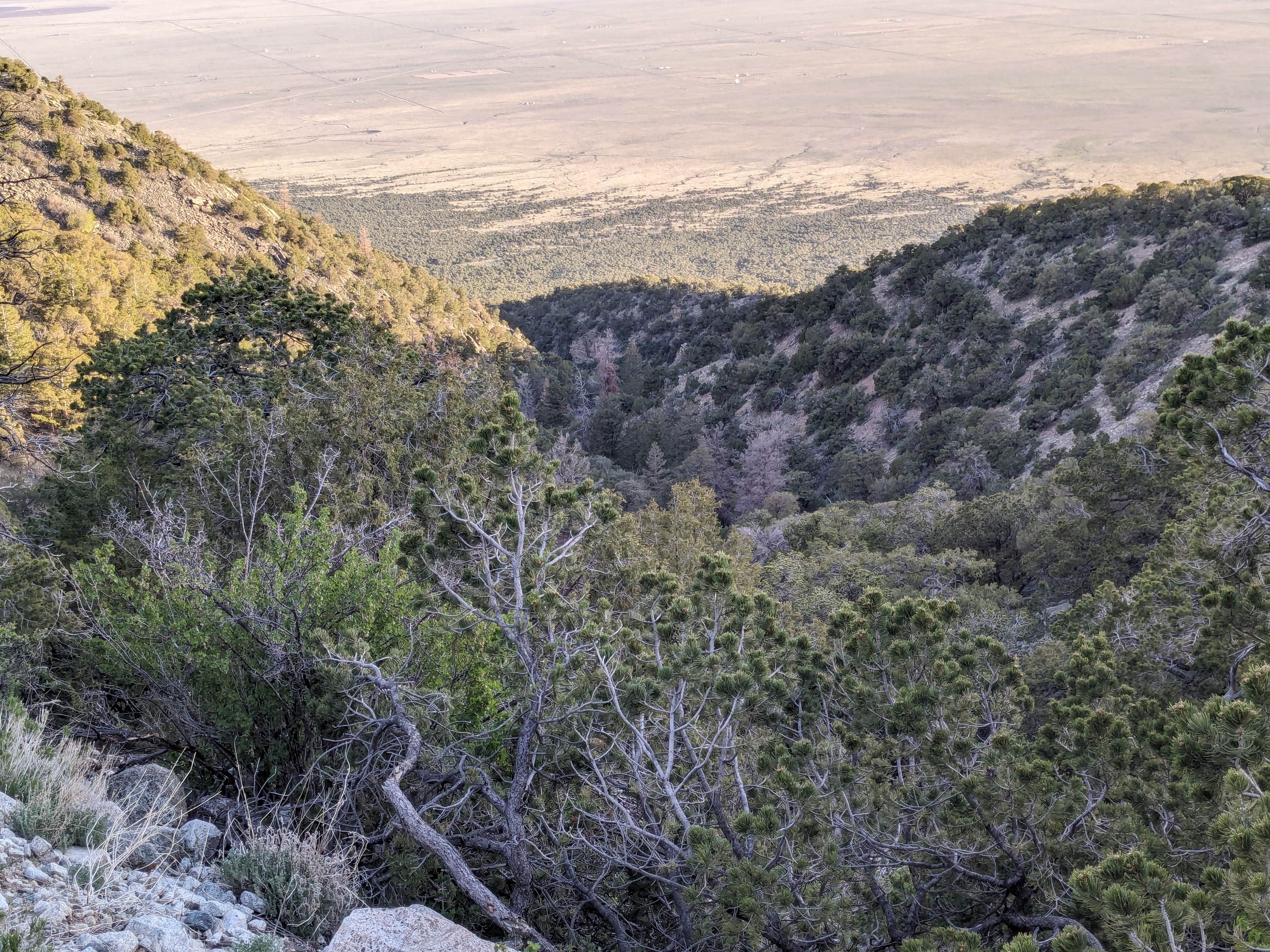 Camper submitted image from 5-Acre Blanca Peak View Camping - 3