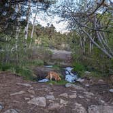 Review photo of 5-Acre Blanca Peak View Camping by DL M., May 24, 2024