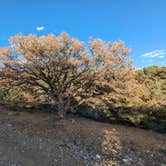 Review photo of 5-Acre Blanca Peak View Camping by DL M., May 24, 2024