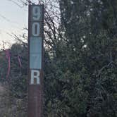 Review photo of 573 Forest Road Dispersed Site by Daniel R., August 19, 2026