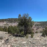 Review photo of Six Mile Canyon - Dispersed Camping by Kevin C., April 18, 2024