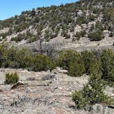 Review photo of Six Mile Canyon - Dispersed Camping by Kevin C., April 18, 2024