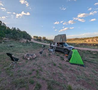 Camper-submitted photo from Six Mile Canyon - Dispersed Camping