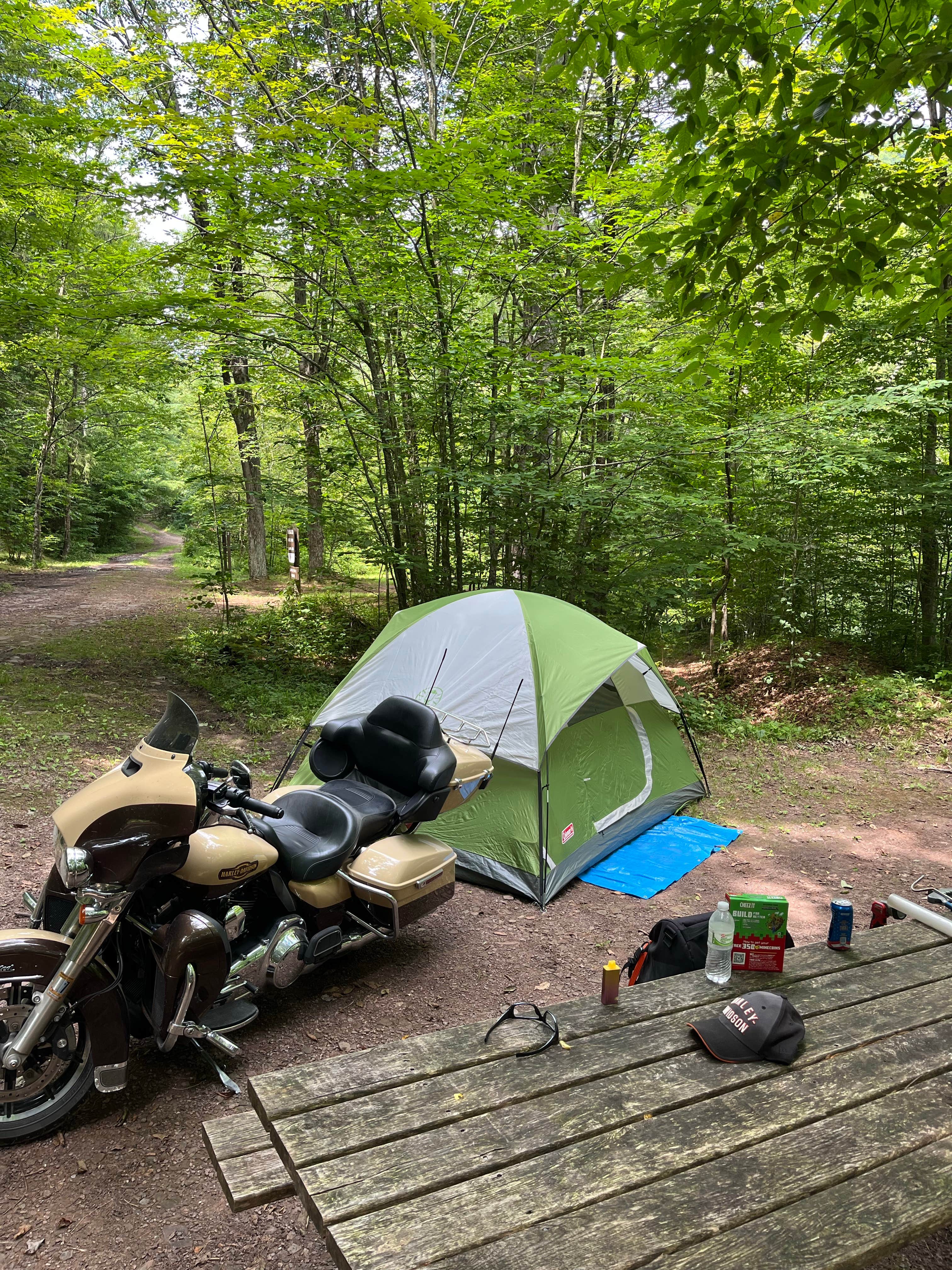Camping near Colton Point State Park Campground: 7 Mile Campground — Tiadaghton State Forest, Slate Run, Pennsylvania