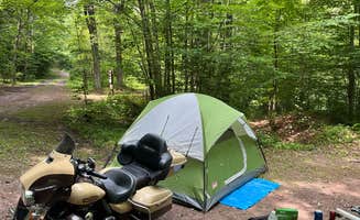 Joe T.'s photo of tent camping at 7 Mile Campground — Tiadaghton State Forest near Sabinsville, PA
