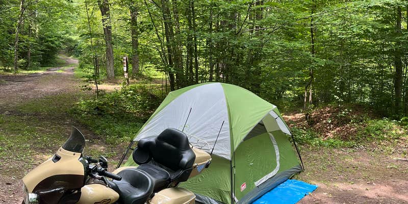 Camper submitted image from 7 Mile Campground — Tiadaghton State Forest