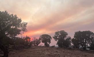 Katerina G.'s photo of a dispersed camping area at 90 Rd Dispersed near Norwood, CO