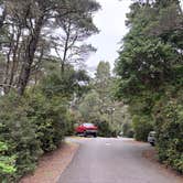 Review photo of Harbor Vista Campground by Chelsea B., May 9, 2026