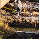 Review photo of Harbor Vista Campground by Forrest W., September 24, 2026