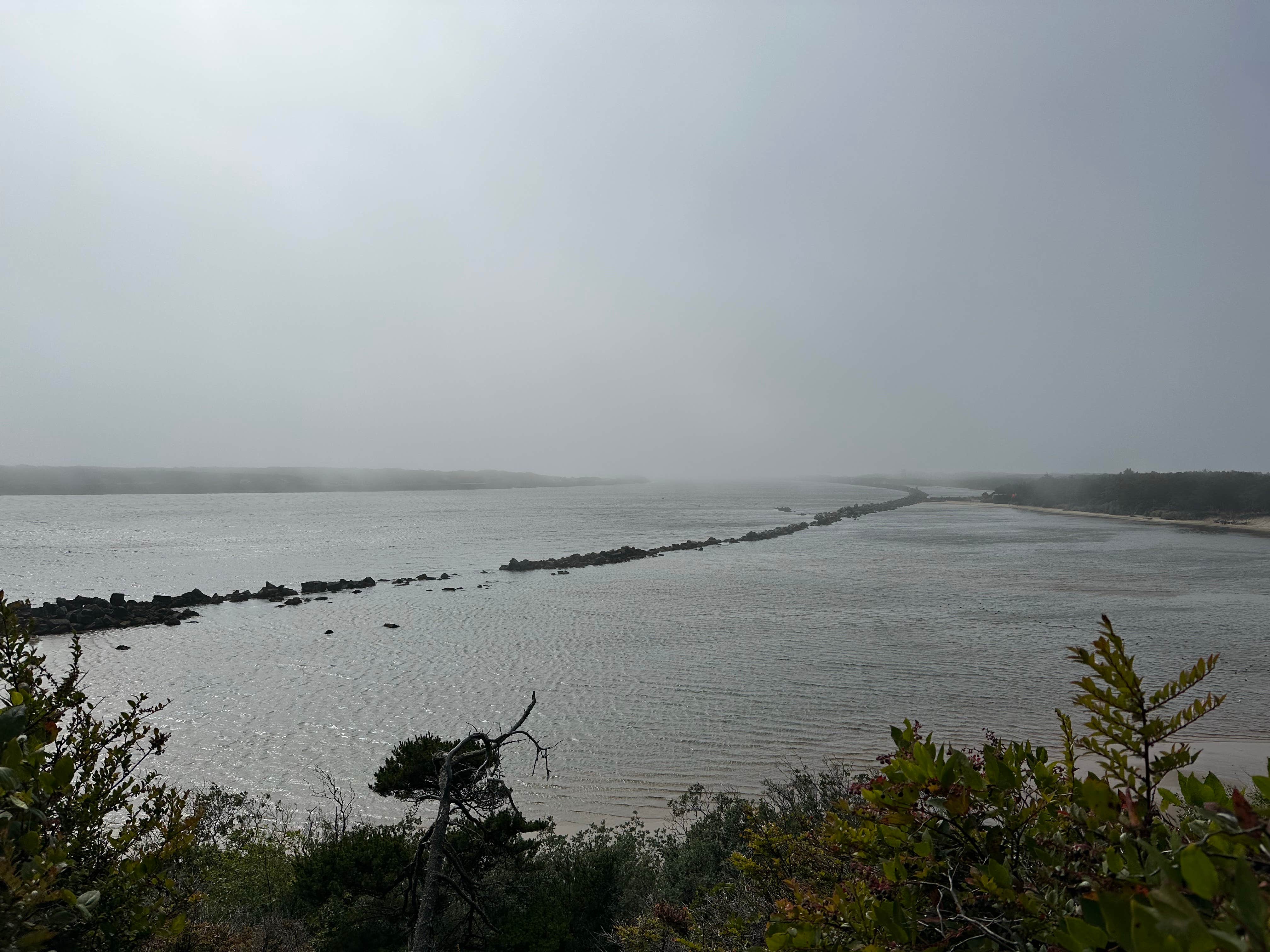 Camper-submitted photo at Harbor Vista Campground near Florence, OR
