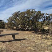 Review photo of Mesa Top Camping by Stephen A., January 7, 2025