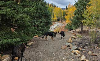 Don R.'s photo of camping with pets at Silverton Lakes RV Resort near Silverton, CO