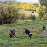 Review photo of Silverton Lakes RV Resort by Don R., September 17, 2026