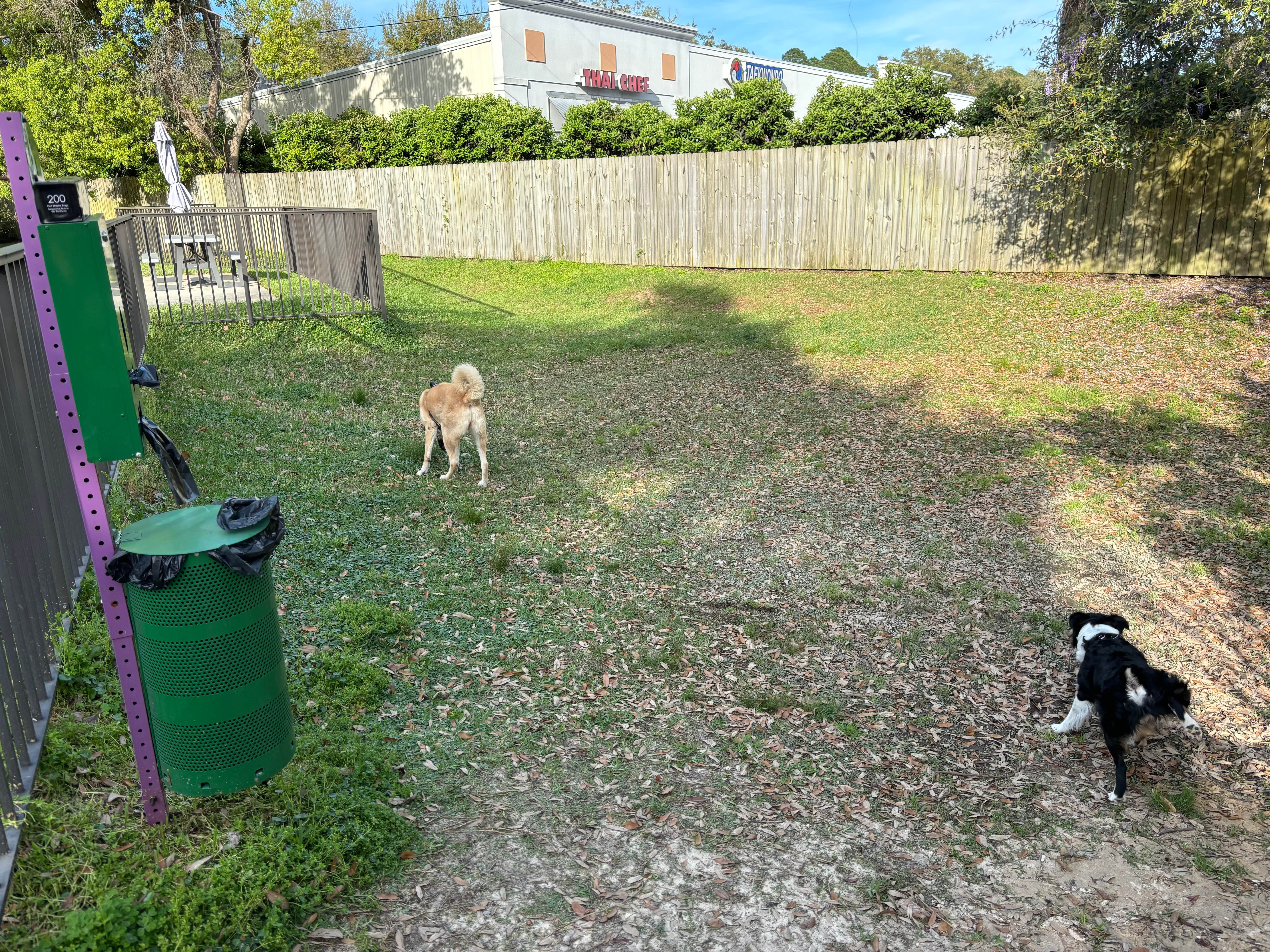 L&A C.'s photo of camping with pets at A Cozy Corner RV Lodge near Destin, FL