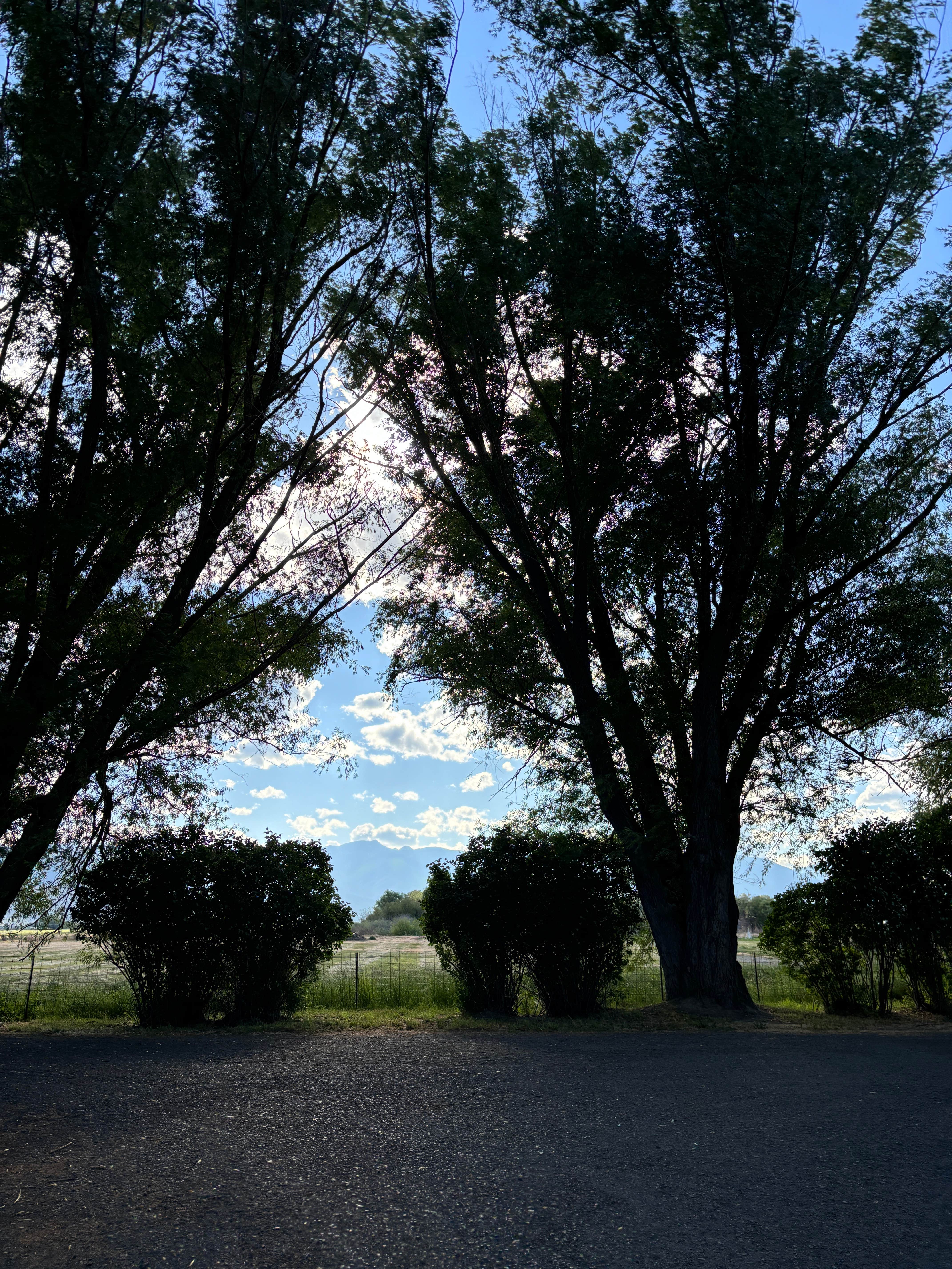 Camper-submitted photo at A-Frame RV Park near North Powder, OR