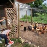 Review photo of A World Away Farm LLC by Michael C., August 8, 2025