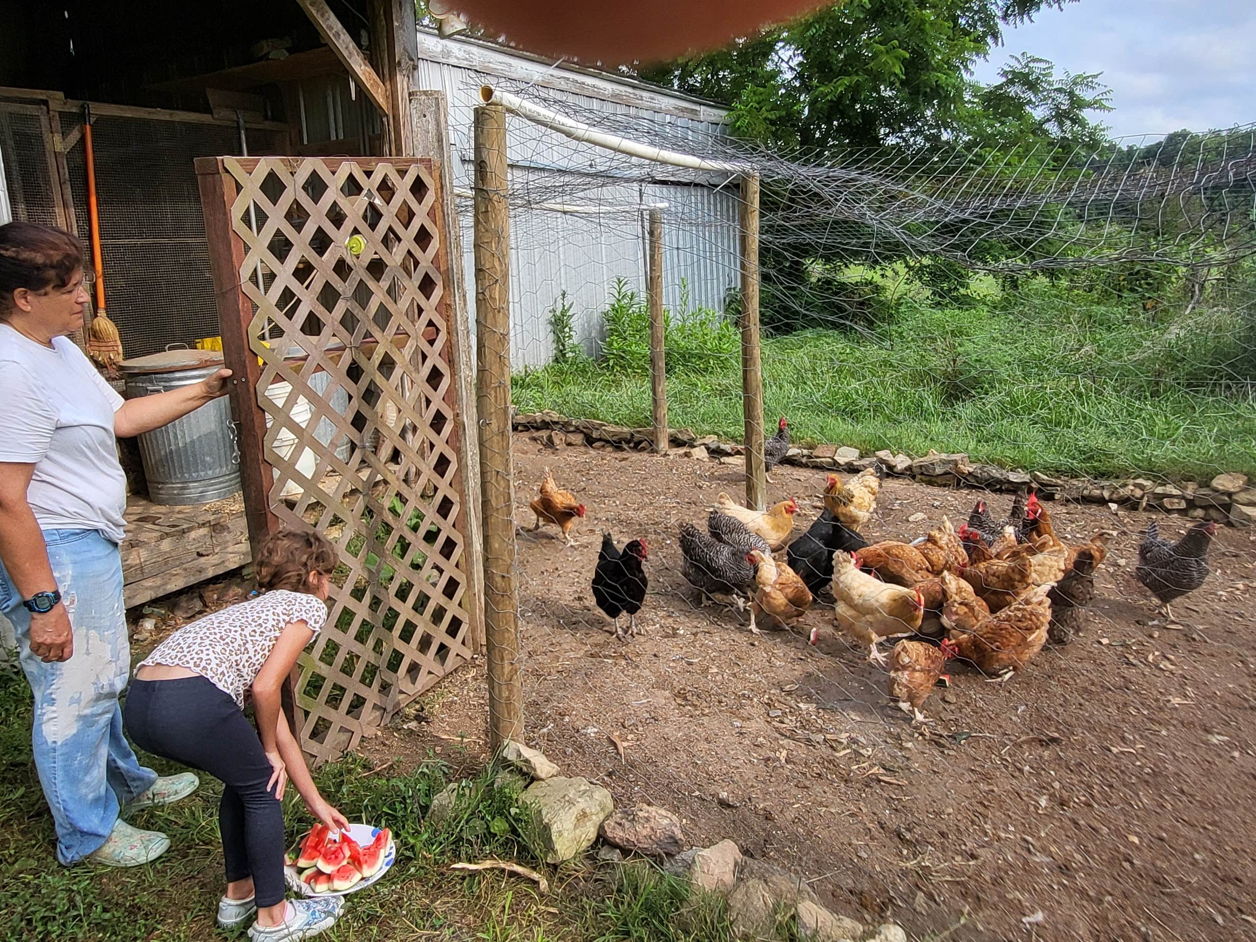 Camper submitted image from A World Away Farm LLC - 3