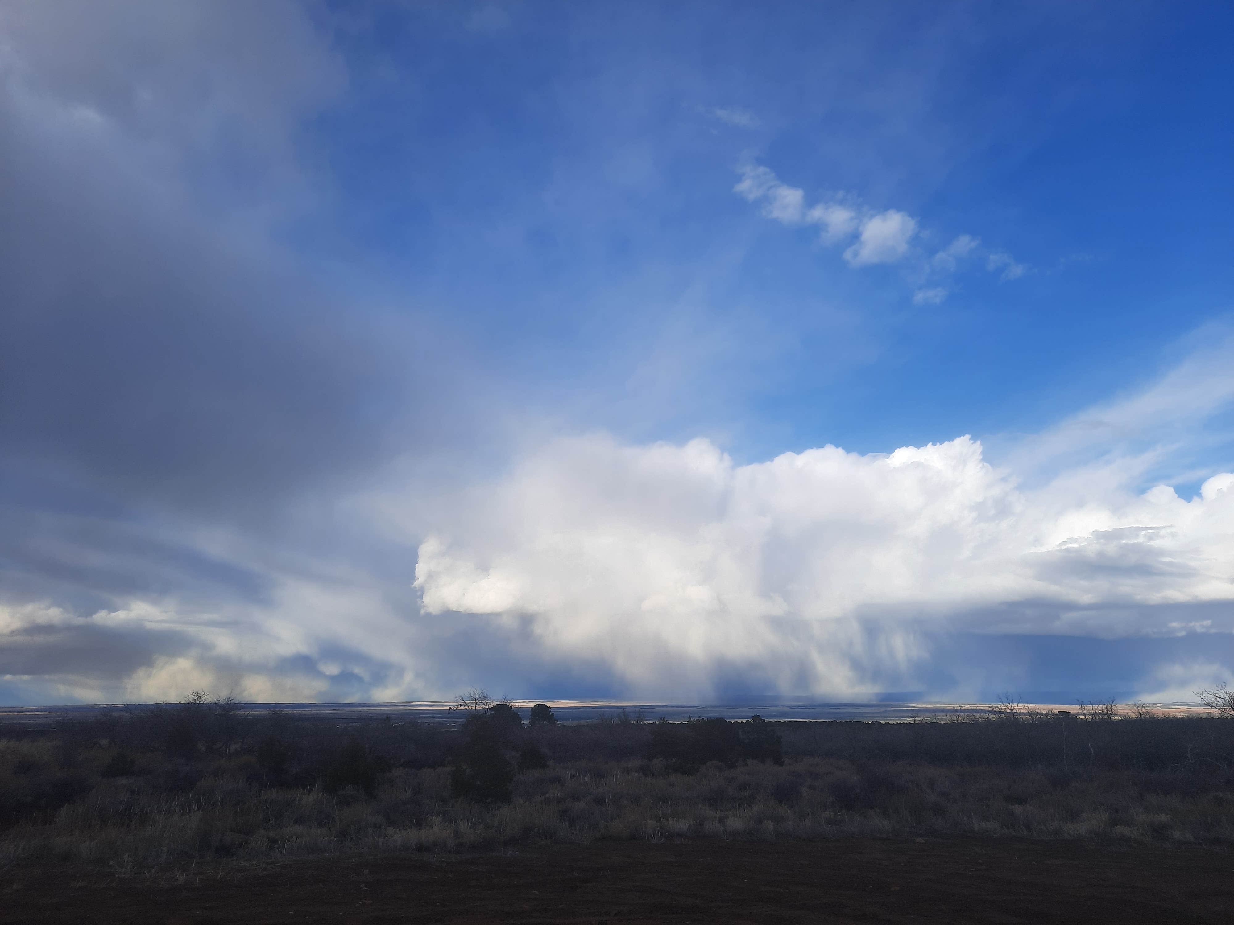 Camper-submitted photo at Abajo Flat Camp near Monticello, UT