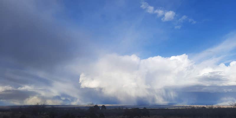 Camper submitted image from Abajo Flat Camp