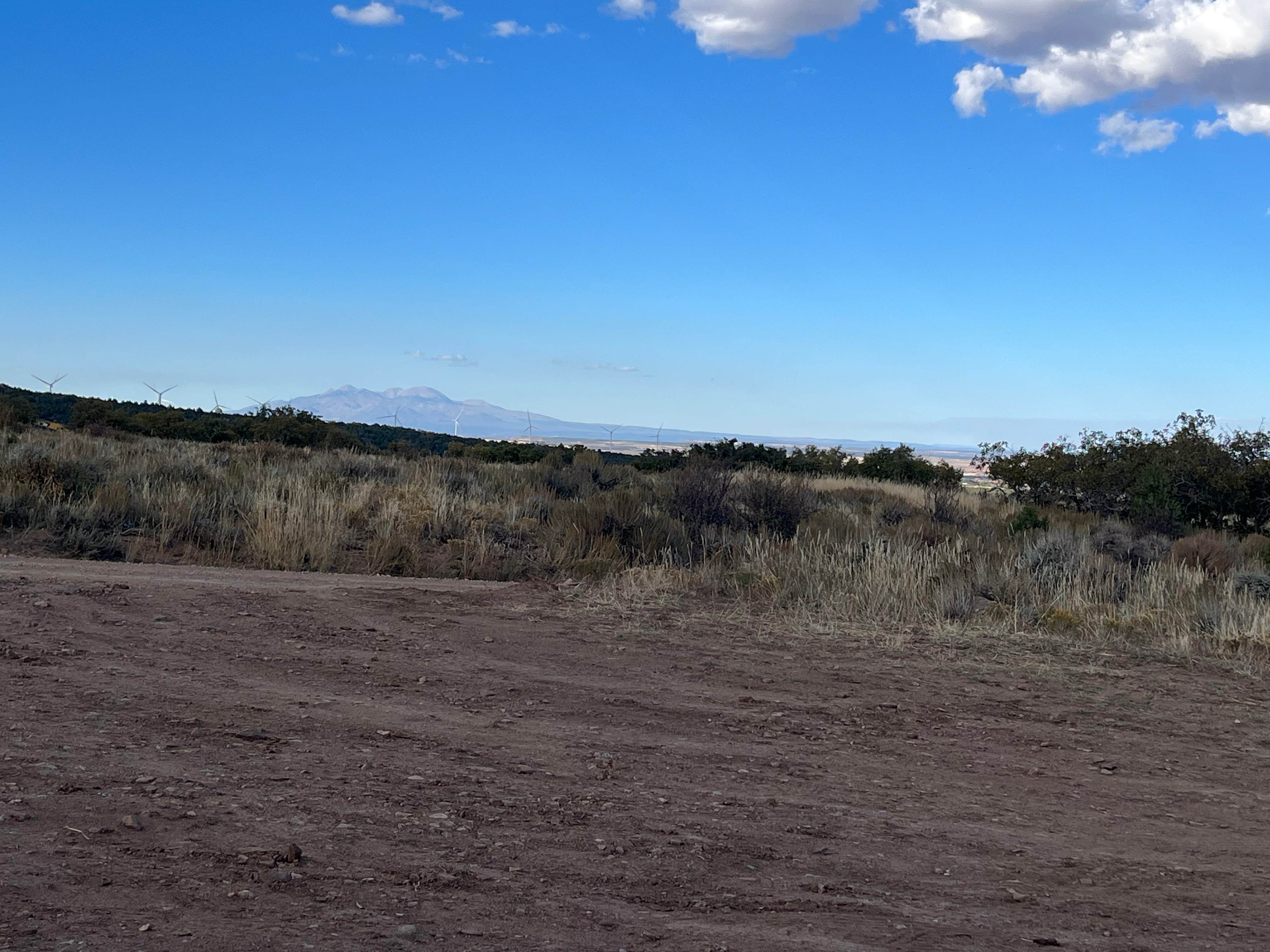 Camper-submitted photo at Abajo Flat Camp near Monticello, UT