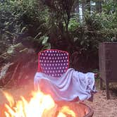 Review photo of Abalone Campground — Sue-meg State Park by Charlene H., July 11, 2026