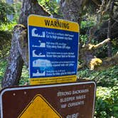 Review photo of Abalone Campground — Sue-meg State Park by Charlene H., July 11, 2026