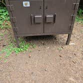 Review photo of Abalone Campground — Sue-meg State Park by Charlene H., July 11, 2026