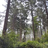 Review photo of Abalone Campground — Sue-meg State Park by Avery L., August 7, 2026