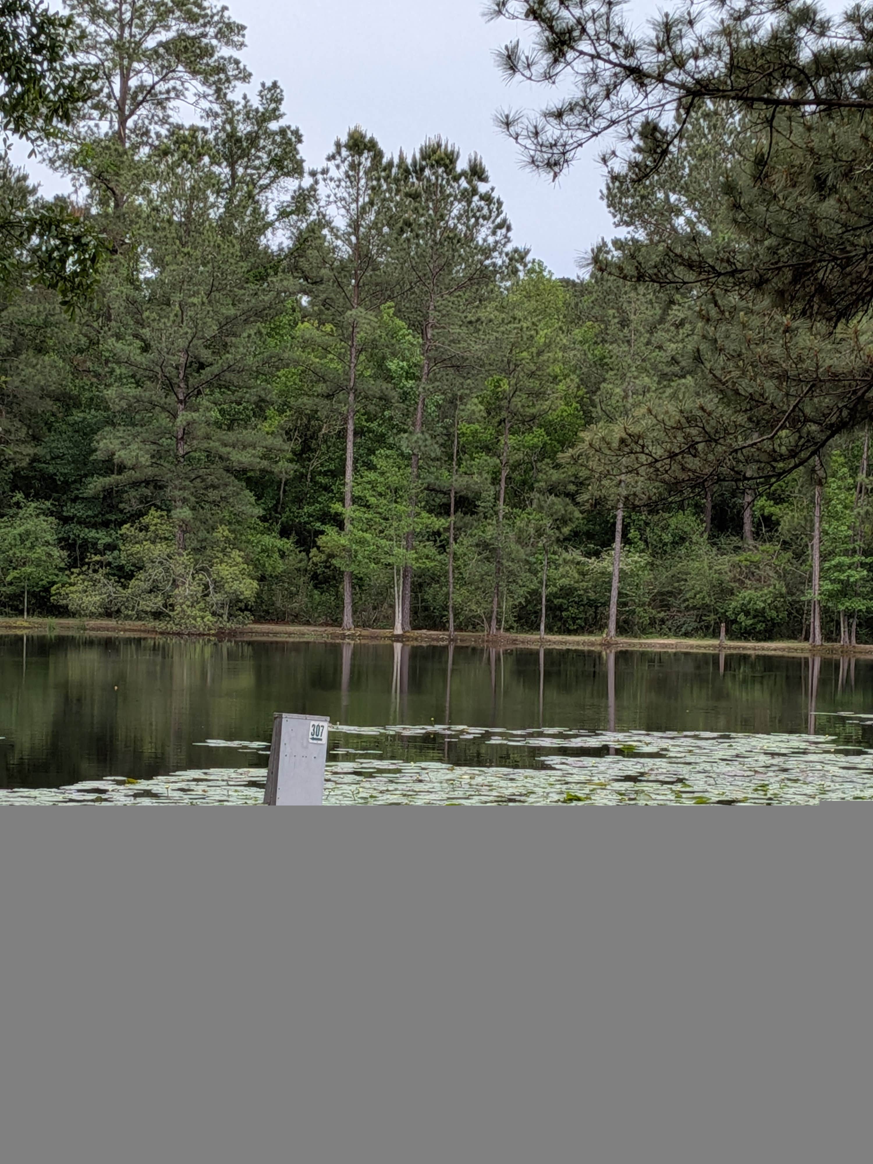 Camper-submitted photo at Abita Springs RV Resort near Marrero, LA