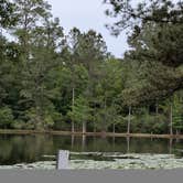 Review photo of Abita Springs RV Resort by Jim L., April 24, 2026