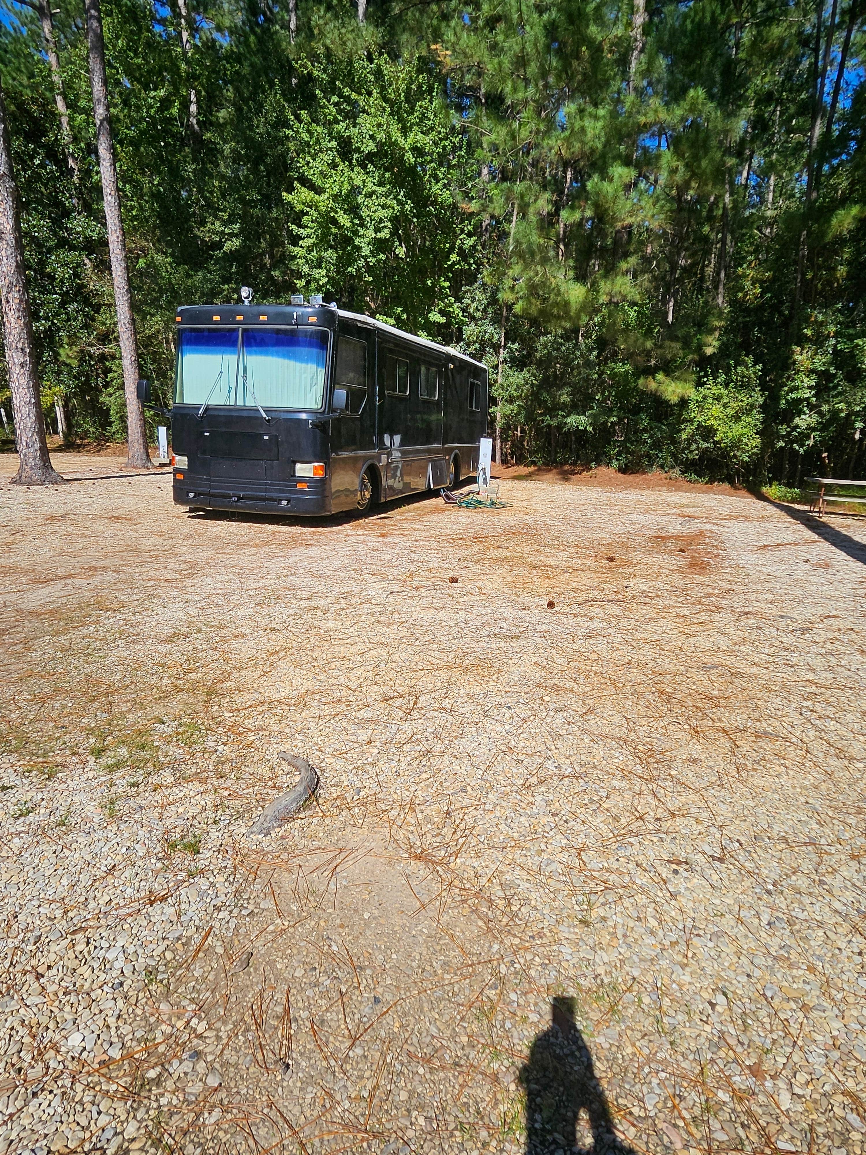 Camper-submitted photo at Abita Springs RV Resort near Pearl River, LA