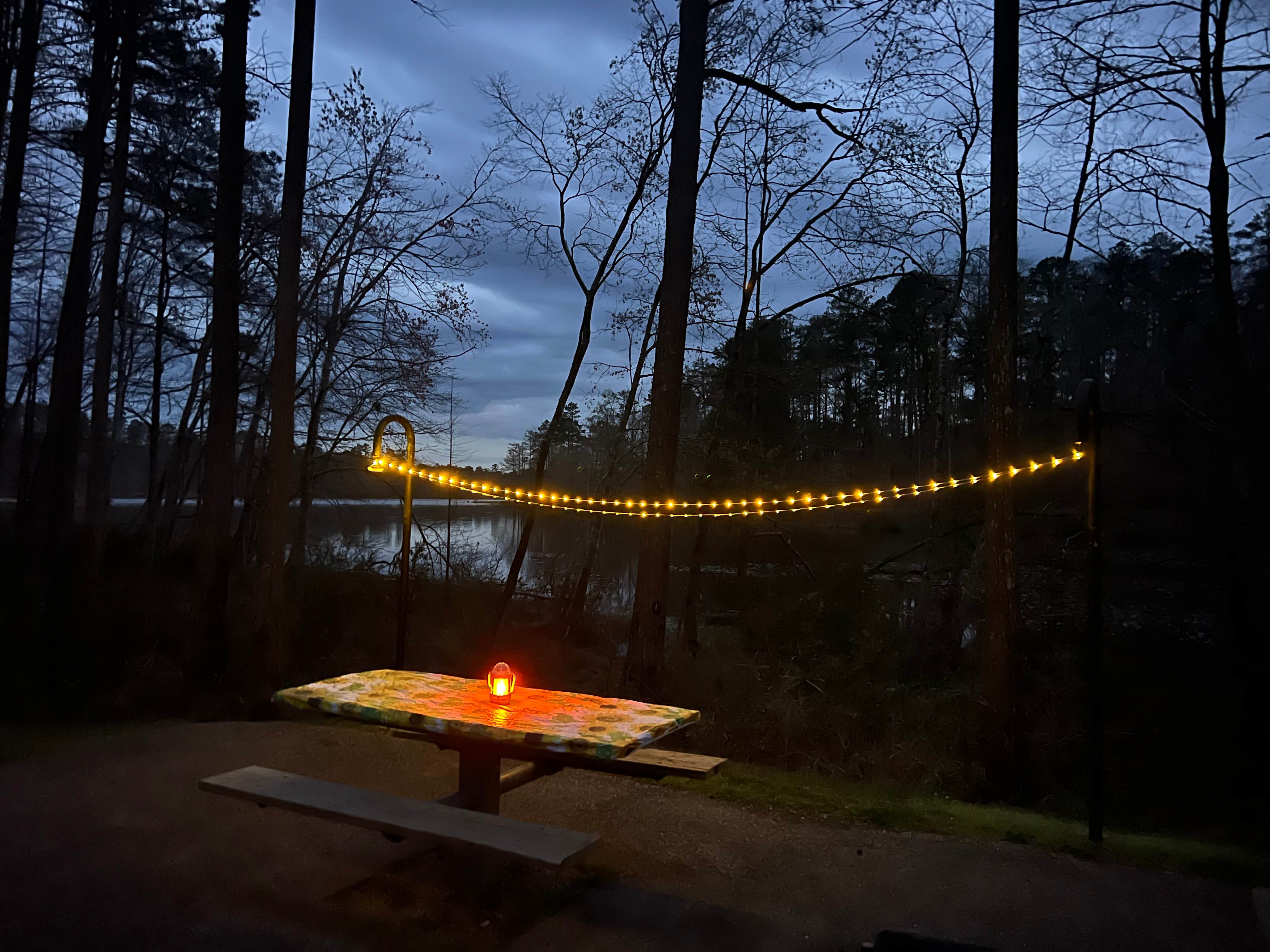 Camping near Bogue Chitto State Park Campground: Abita Springs RV Resort, Abita Springs, Louisiana