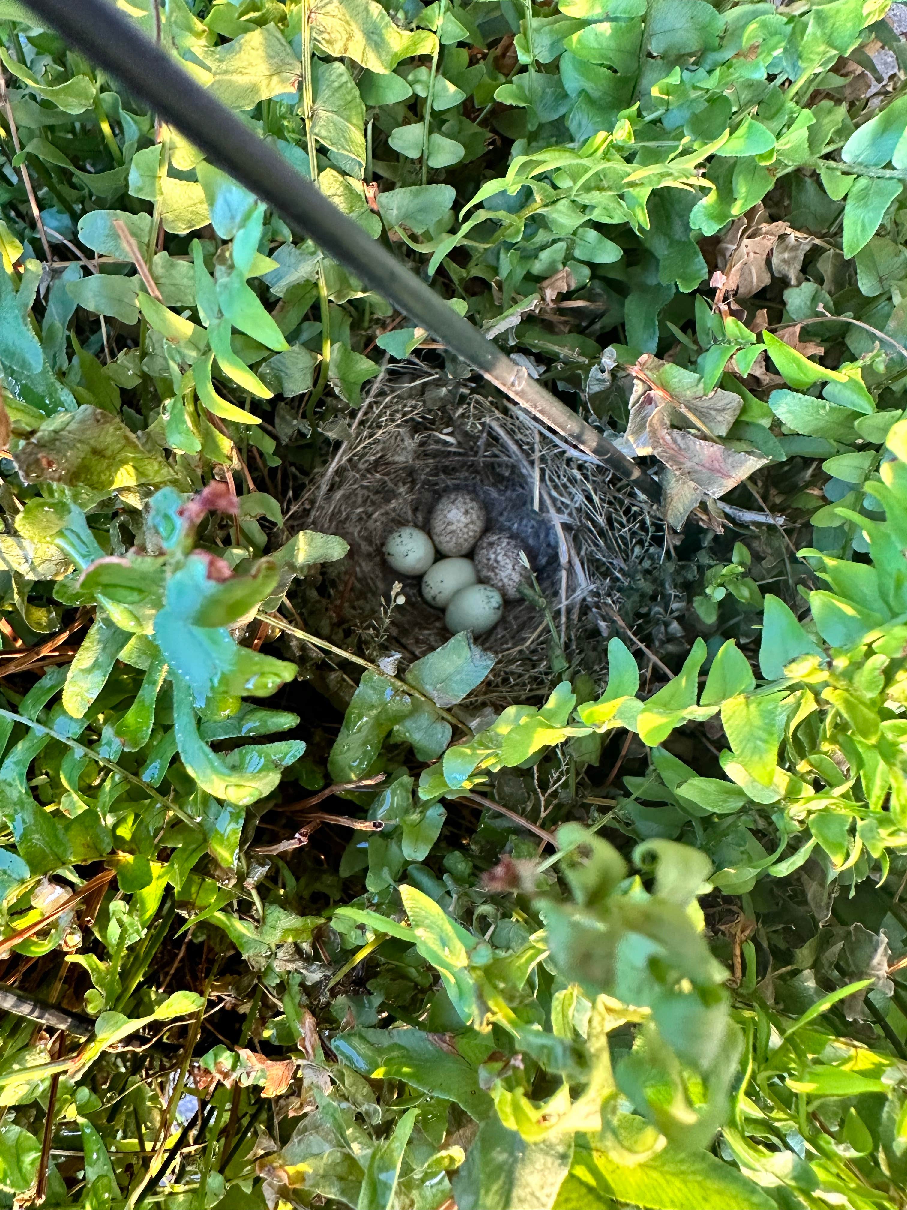 Camper-submitted photo at Acorn RV Resort near Milford Lake