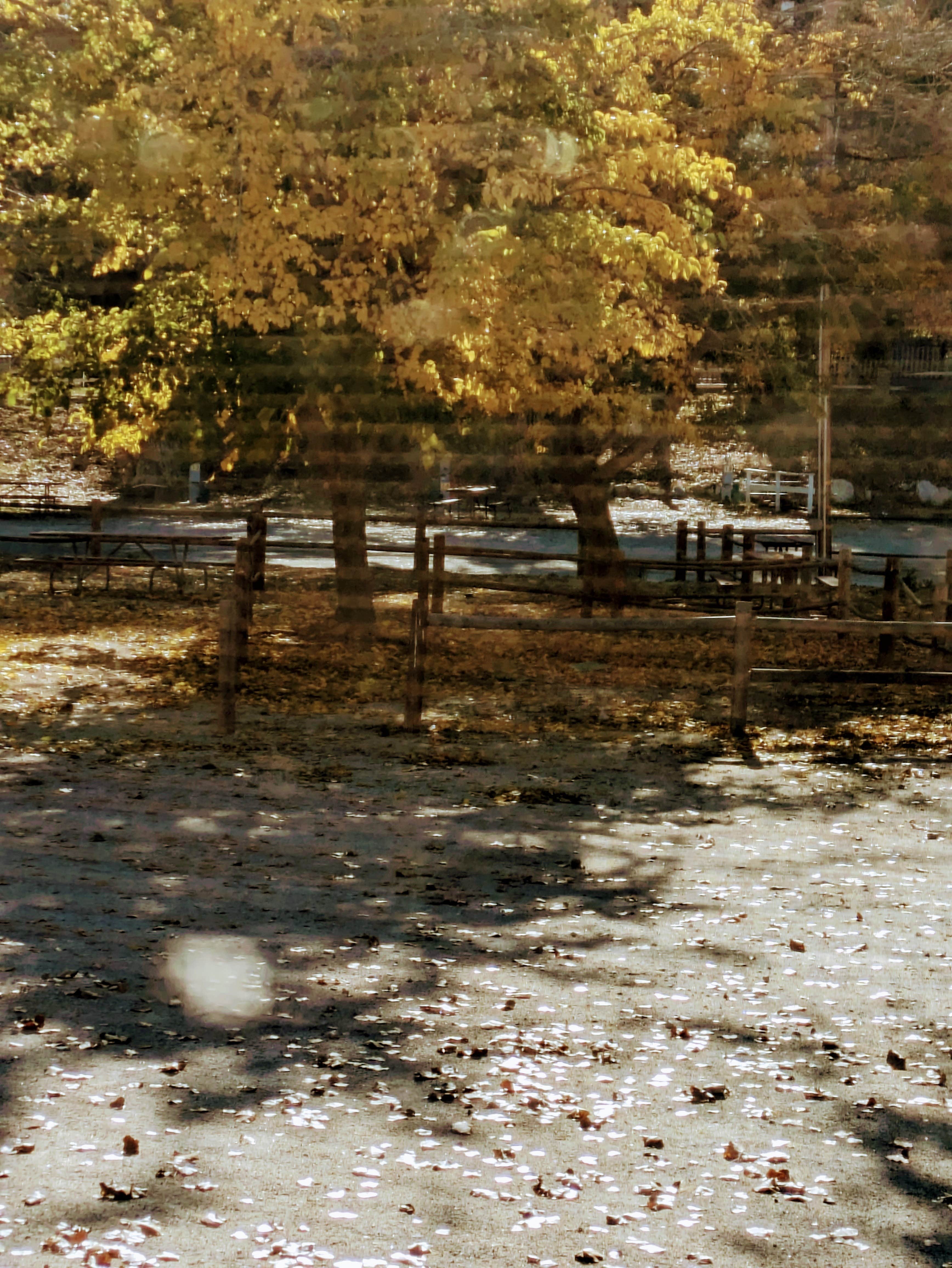 Camper-submitted photo at LA RV Resort at Action Camp near West Hollywood, CA