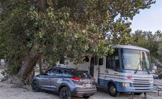 Kerry L.'s photo of rv camping at LA RV Resort at Action Camp near Duarte, CA