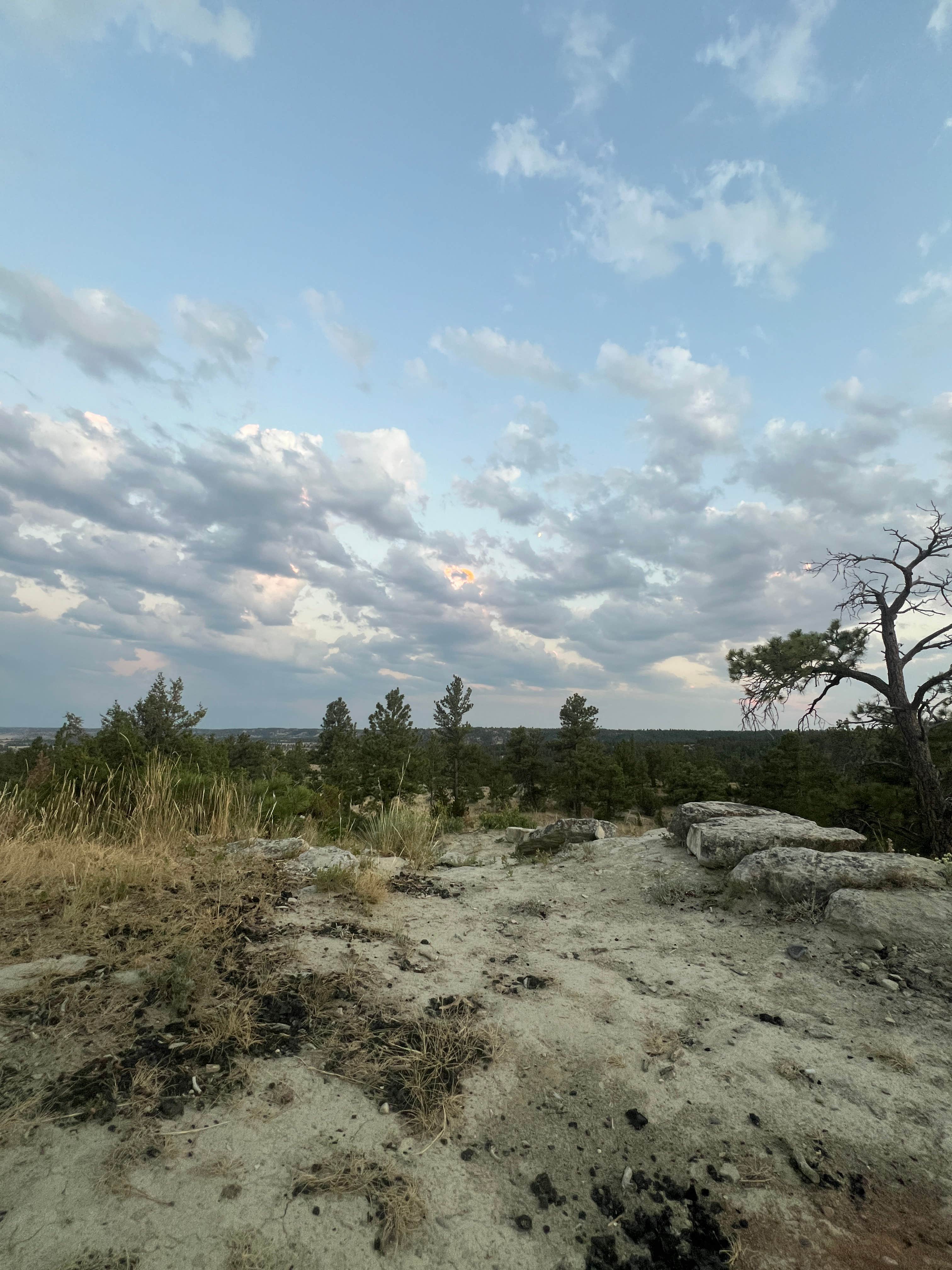Larry C.'s photo of a dispersed camping area at Acton Recreation Area near Billings, MT