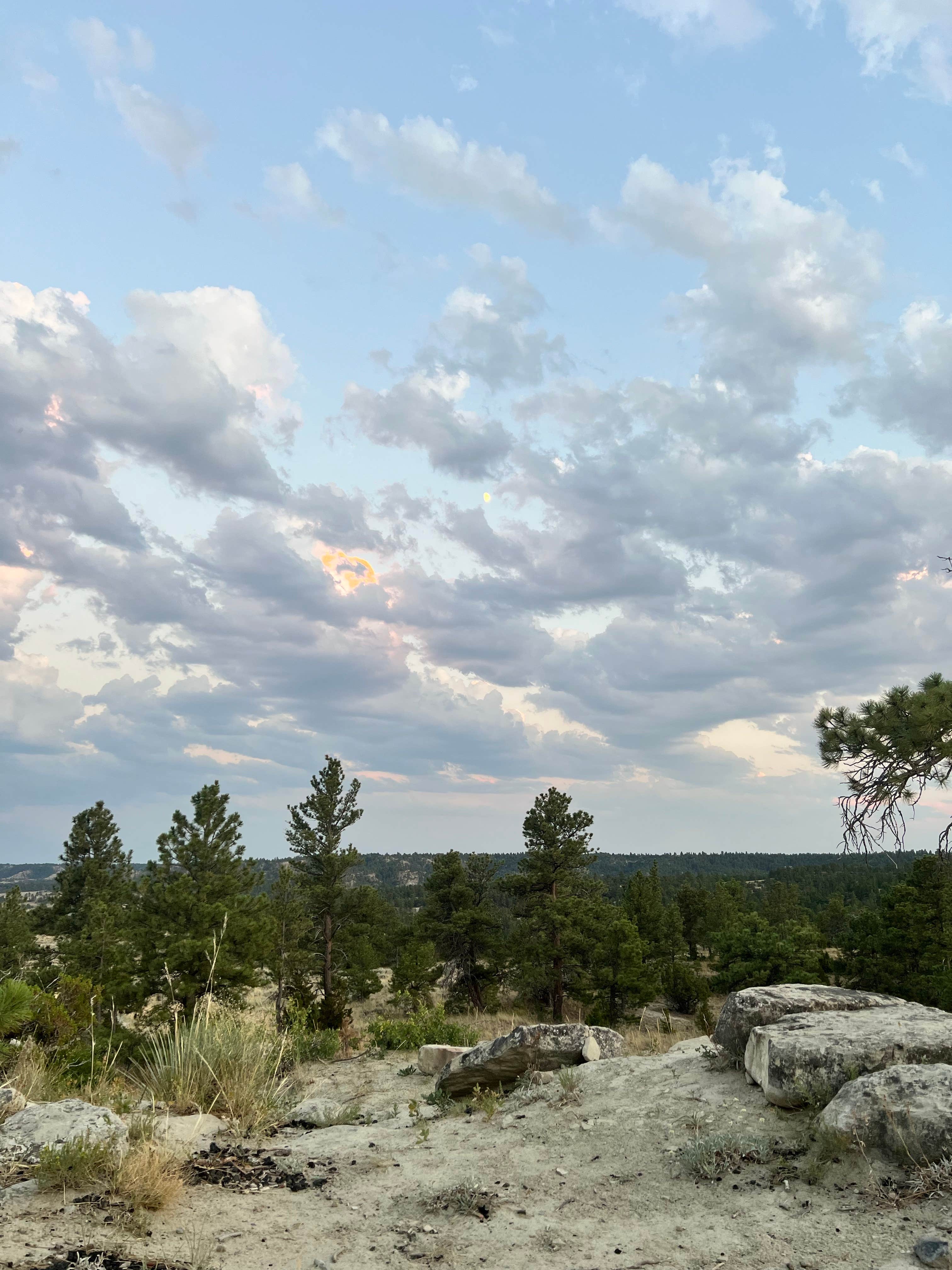 Larry C.'s photo of a dispersed camping area at Acton Recreation Area near Pryor, MT