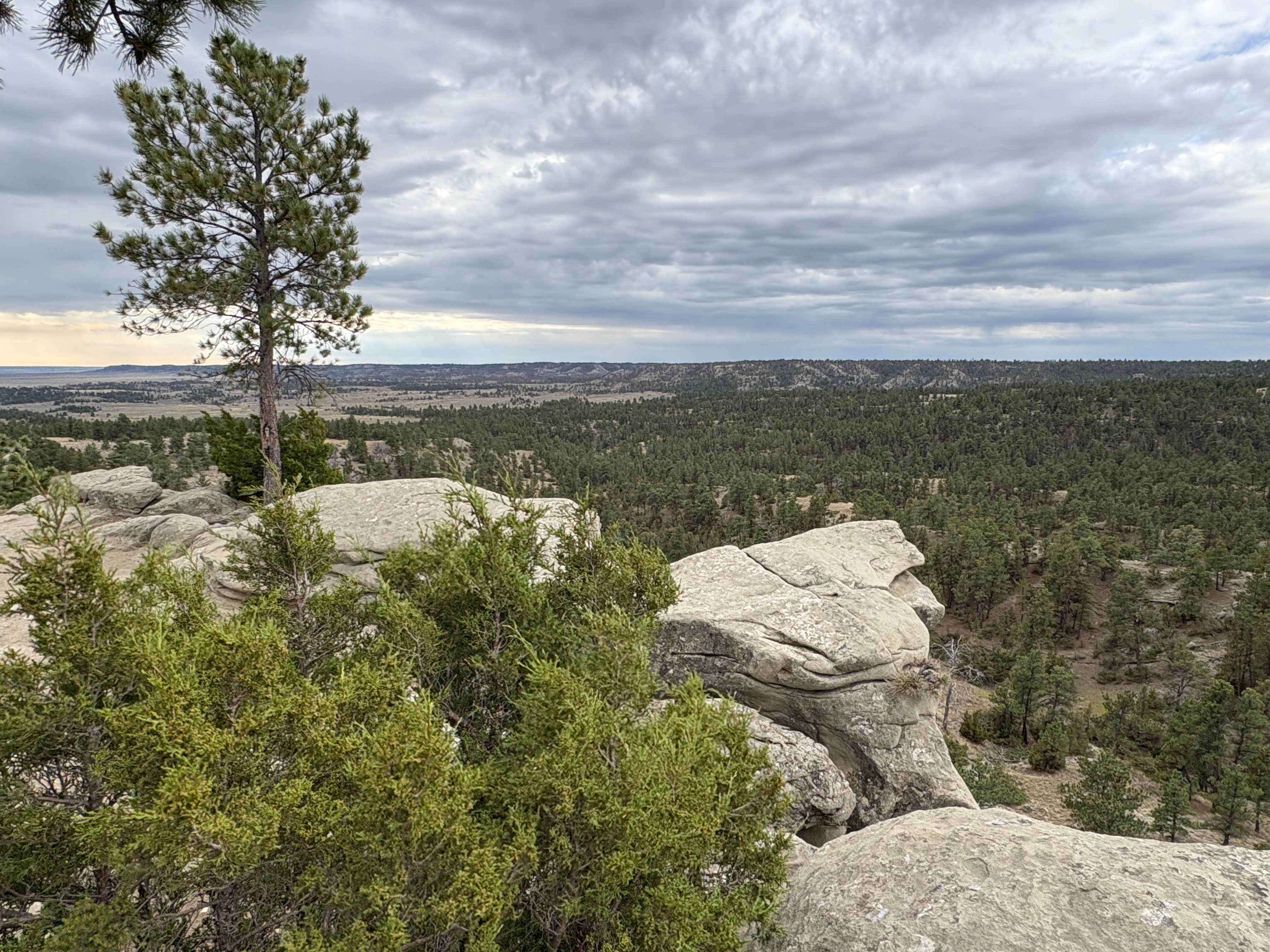 Camper-submitted photo at Acton Recreation Area in Montana