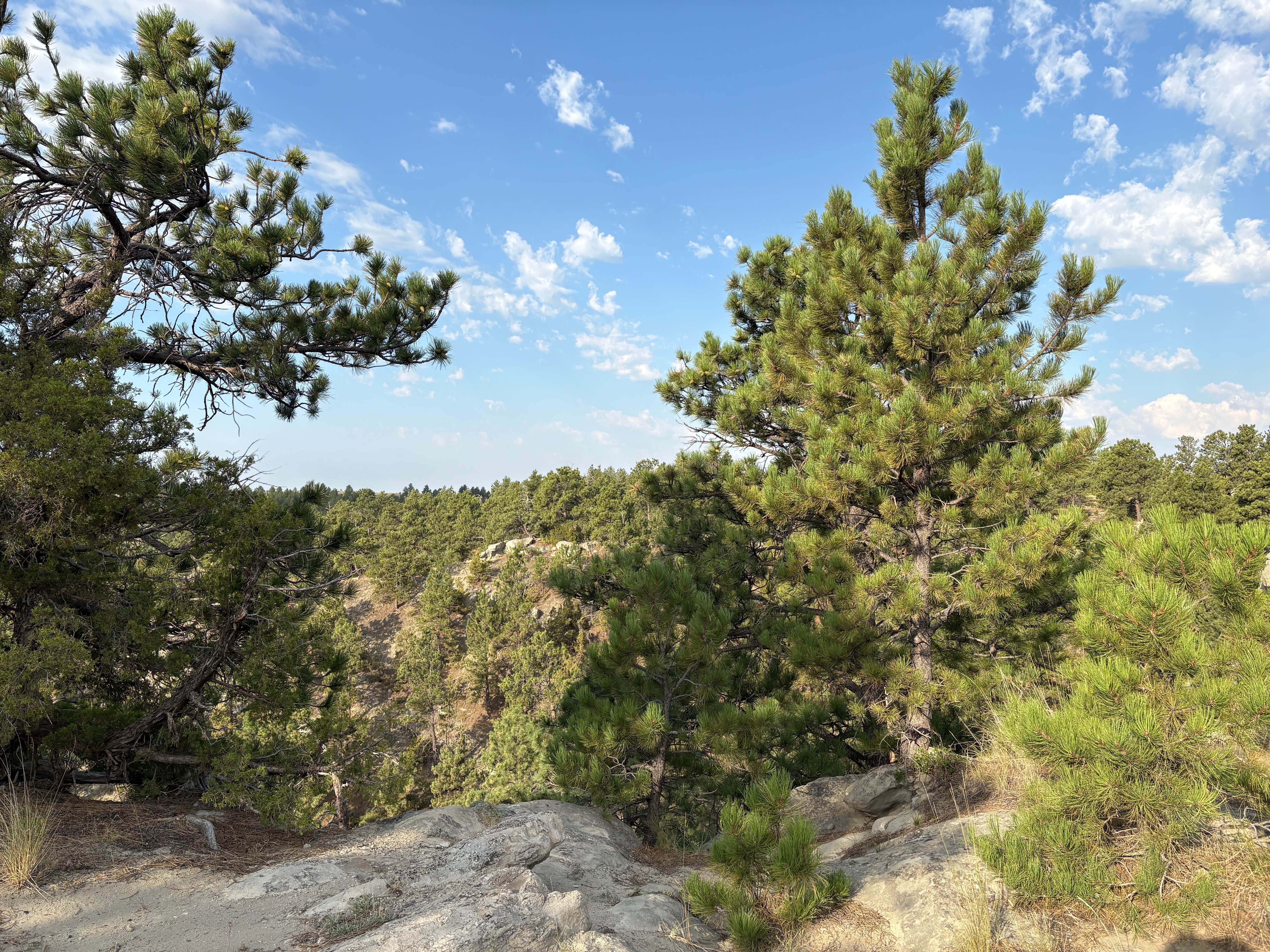 Acton Recreation Area