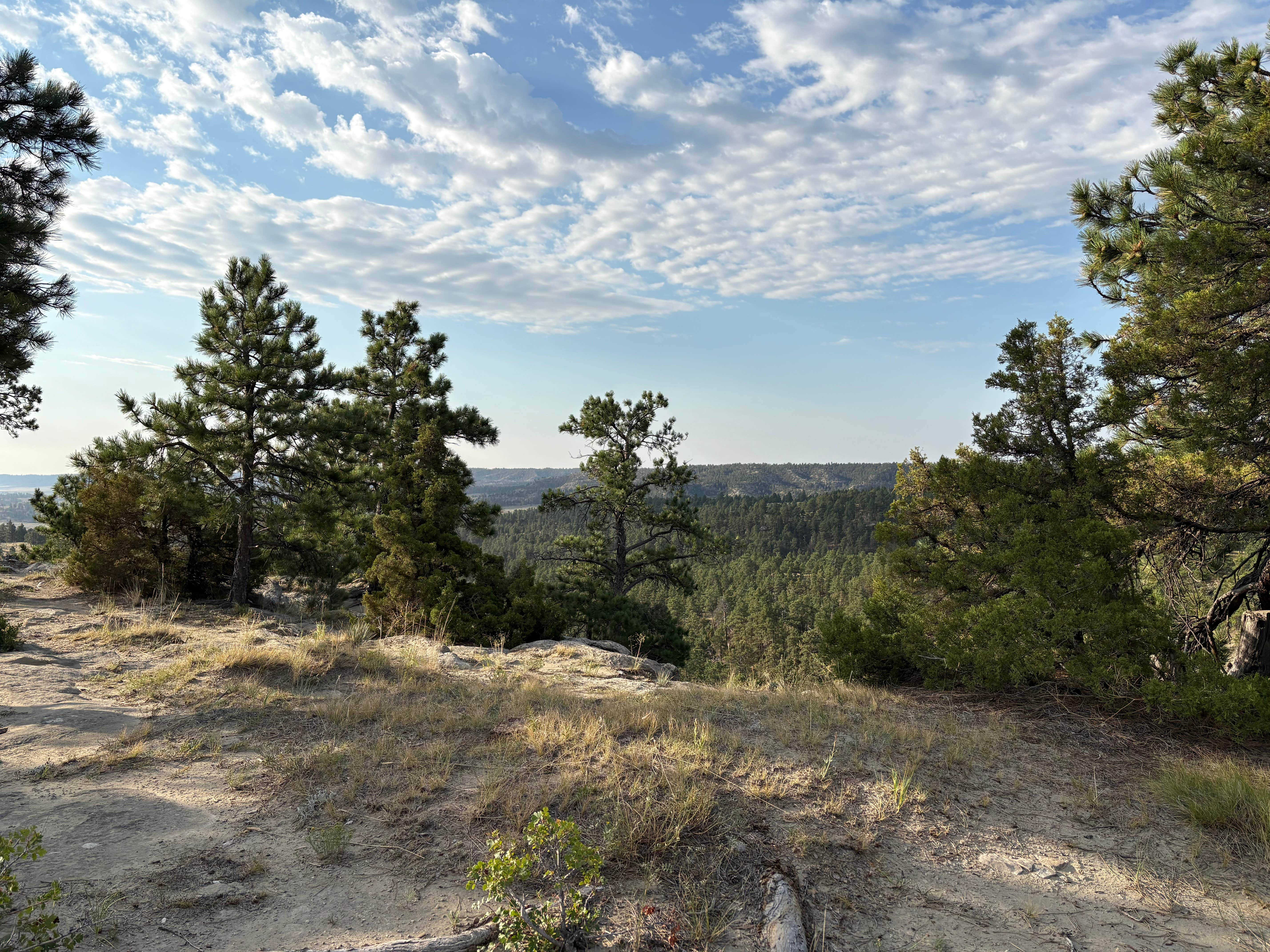 Acton Recreation Area