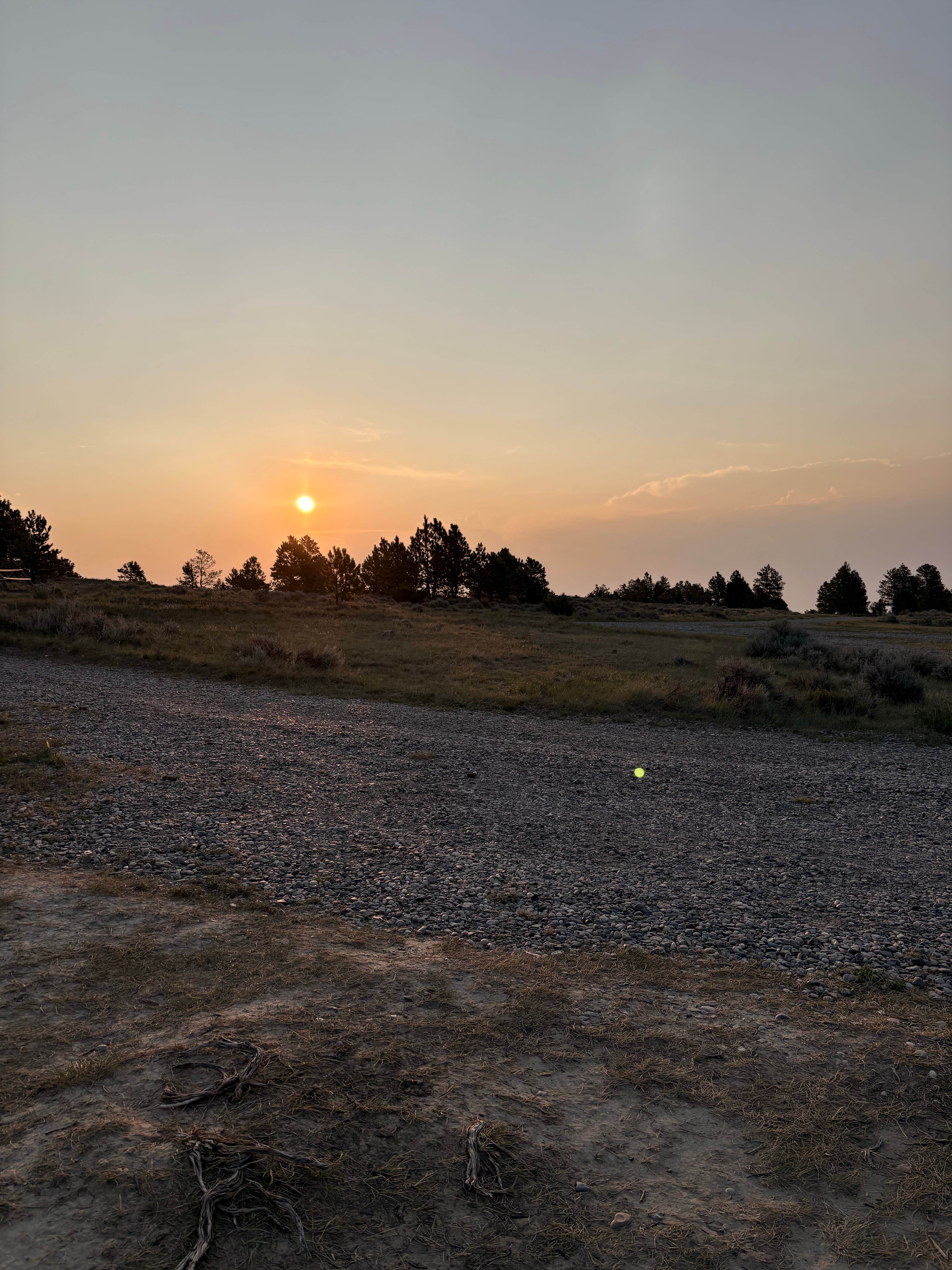 Meaghan H.'s photo of a dispersed camping area at Acton Recreation Area in Montana