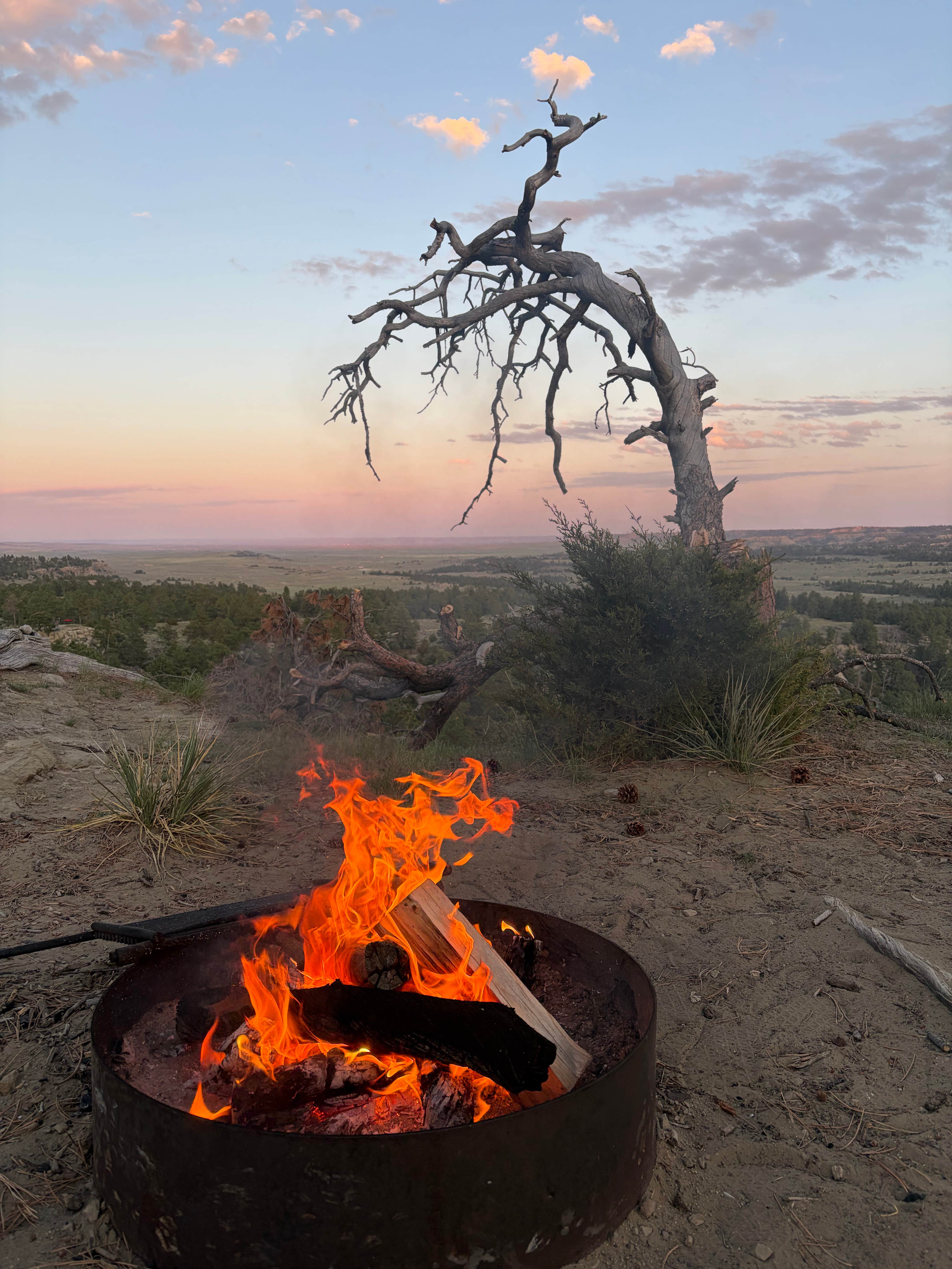 Camper-submitted photo at Acton Recreation Area near Billings, MT