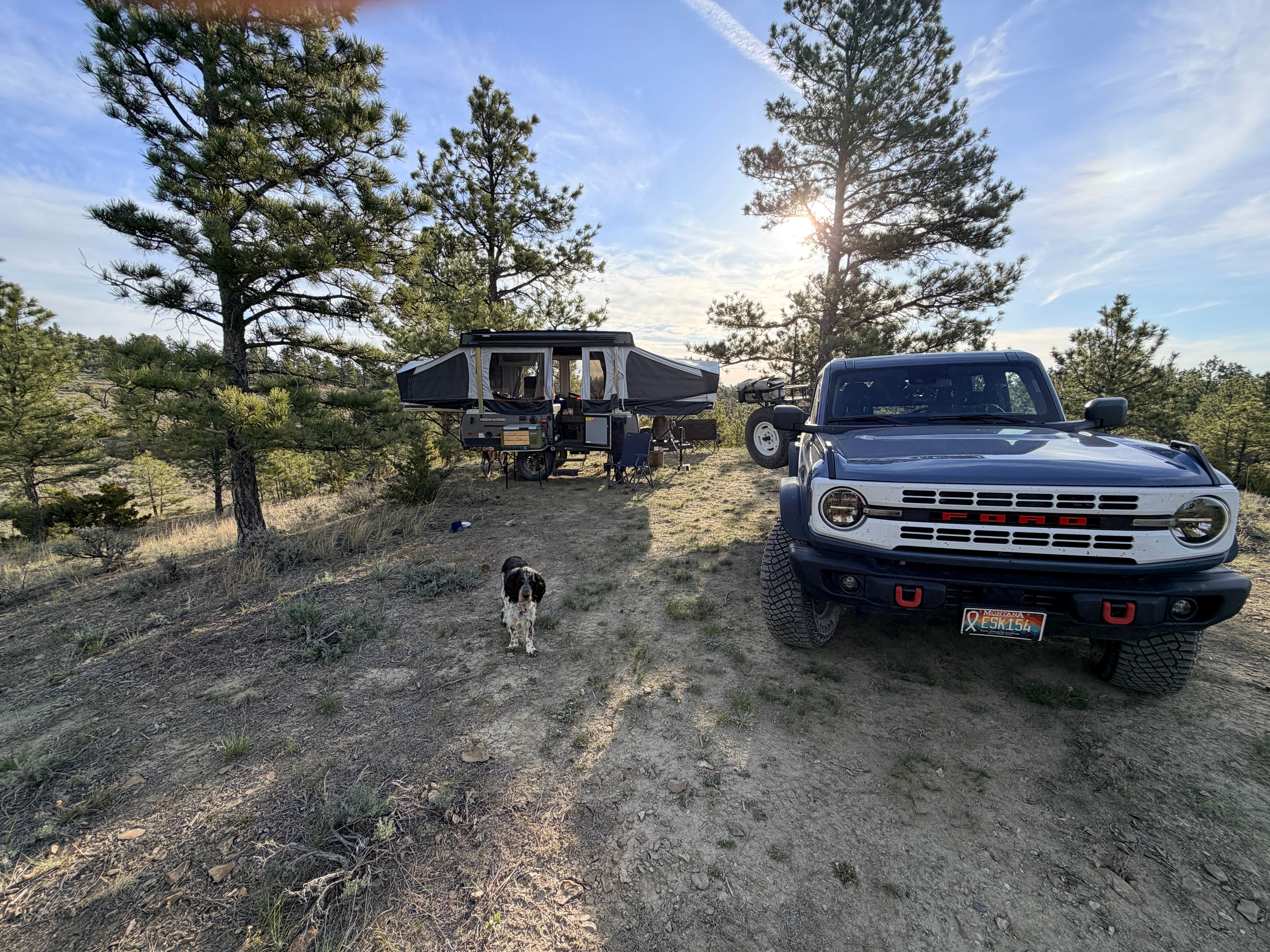 Brodie B.'s photo of camping with pets at Acton Recreation Area near Pompeys Pillar, MT