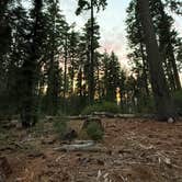 Review photo of Goat Meadow - Dispersed Camp Site by megan L., August 12, 2026