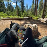 Review photo of Goat Meadow - Dispersed Camp Site by Maddie A., July 3, 2026