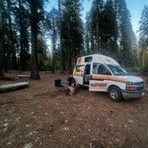 Review photo of Goat Meadow - Dispersed Camp Site by Caroline D., May 4, 2024